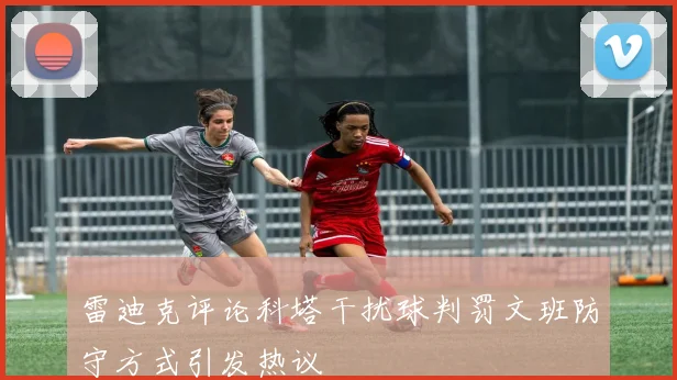 雷迪克评论科塔干扰球判罚文班防守方式引发热议